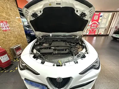 Alfa Romeo Stelvio 2018, 49000 км, за 88000 CNY - фото 5