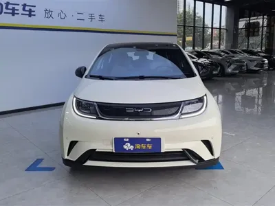 BYD Dolphin 2023, 1800 км, за 66800 CNY