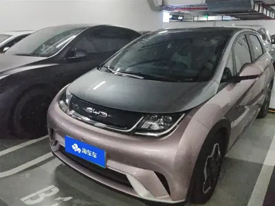 BYD Dolphin · 2022 год