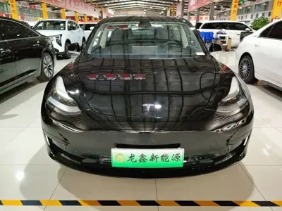 Tesla Model 3 2021, 79000 км, за 108800 CNY