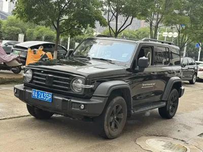 Tank Tank 300 · 2024 год