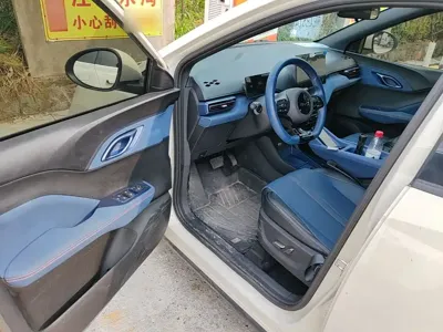 BYD Seagull 2025, 21100 км, за 56000 CNY - фото 16
