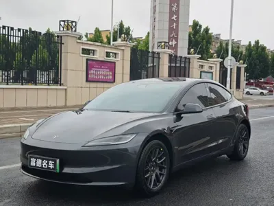 Tesla Model 3 · 2025 год
