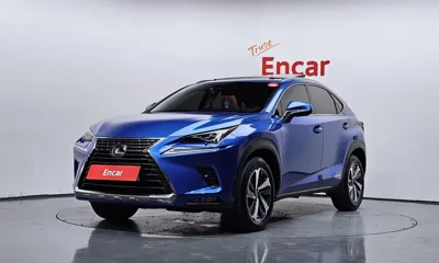 Lexus NX 2019, 22644 км, за 33900000 KRW - фото 1