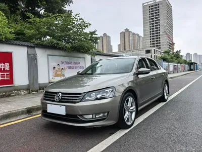 Volkswagen Passat · 2014 год