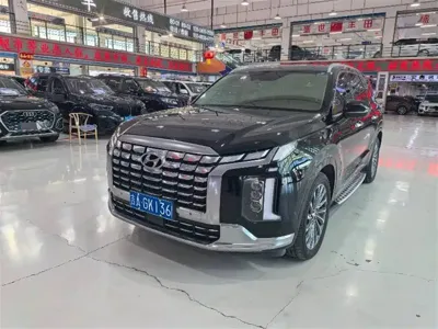 Hyundai Palisade · 2024 год