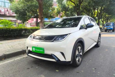 BYD Dolphin · 2025 год
