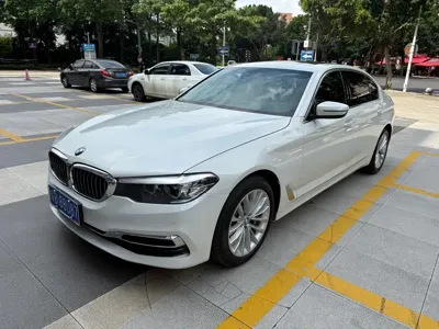 BMW 5 Series · 2019 год
