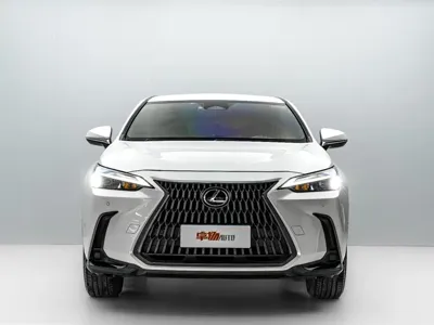 Lexus NX 2023, 41000 км, за 173800 CNY - фото 2