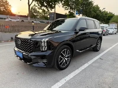 GAC Motor Trumpchi GS8 · 2025 год