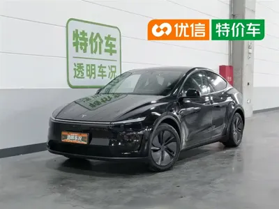 Tesla Model Y · 2025 год