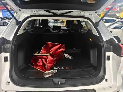 Haval H6 2023, 64000 км, за 69800 CNY - фото 11