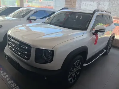 Haval Big Dog · 2021 год