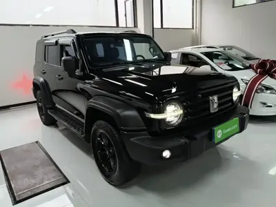 Tank Tank 300 2021, 63800 км, за 121100 CNY