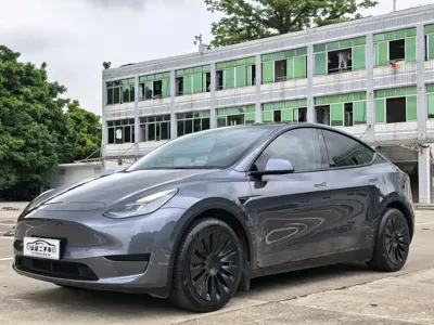Tesla Model Y · 2022 год