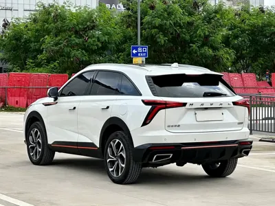 Haval Shenshou 2022, 120000 км, за 49800 CNY - фото 6