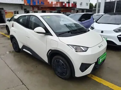 BYD Seagull 2026, 100 км, за 57200 CNY