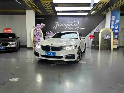 BMW 5 Series · 2019 год