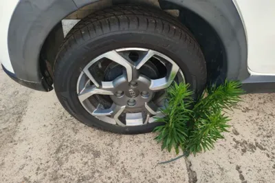 Geely Auto Vision X1 2017, 47100 км, за 33255.67 CNY - фото 11