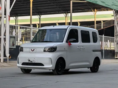 Wuling Zhiguang · 2025 год