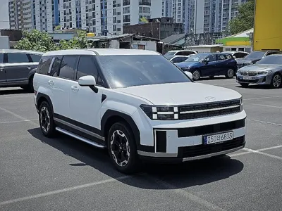 Hyundai Santafe 2024, 28534 км, за 24900000 KRW