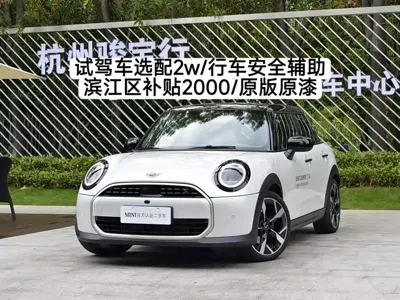 MINI MINI · 2024 год