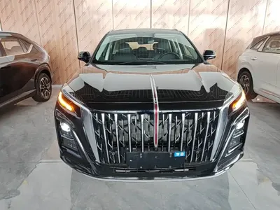 Hongqi Hongqi HS3 PHEV 2026, 100 км, за 118000 CNY - фото 3