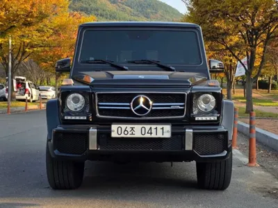 Mercedes-Benz G-Class · 2016 год