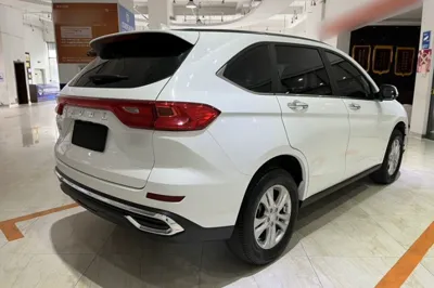 Haval M6 2023, 30700 км, за 77918.32 CNY - фото 6