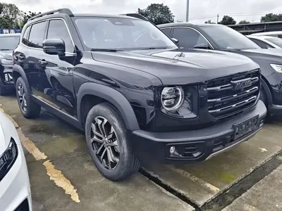 Haval Big Dog 2022, 32000 км, за 58300 CNY - фото 3