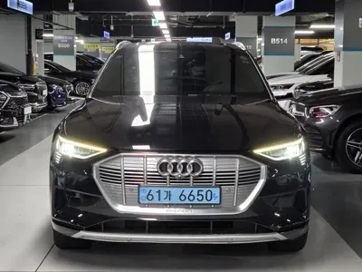 Audi e-tron 2020, 79000 км, за 42990000 KRW