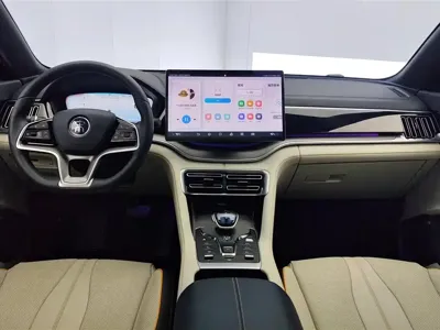 BYD PLUS New Energy 2022, 54000 км, за 73500 CNY - фото 12