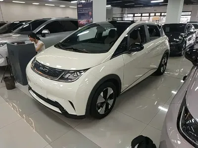 BYD Dolphin · 2023 год