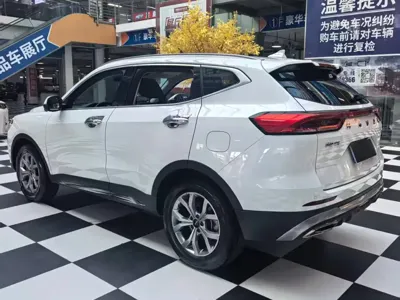 Haval H6 2021, 46000 км, за 72800 CNY - фото 19