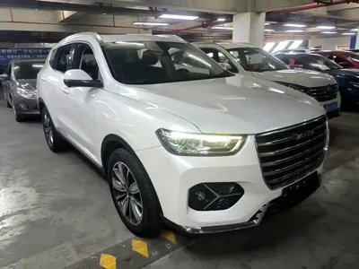 Haval H6 2021, 74100 км, за 45900 CNY - фото 4