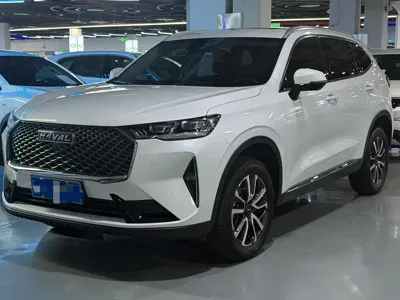 Haval H6 · 2022 год