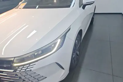 BYD Destroyer 05 2023, 36400 км, за 75267.12 CNY - фото 8