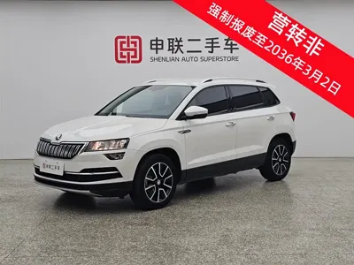 Skoda Karoq · 2021 год