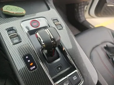 GAC Motor Shadow Leopard 2022, 59700 км, за 55000 CNY - фото 11