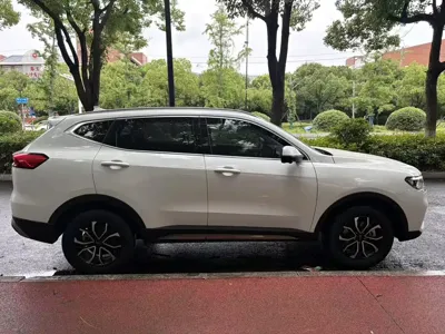 Haval H6 2024, 70000 км, за 57800 CNY - фото 13