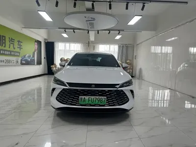 BYD Qin Plus · 2025 год