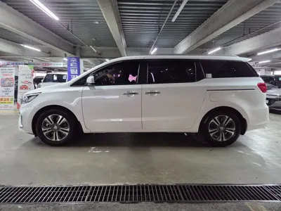 Kia Canival 2019, 41855 км, за 15990000 KRW - фото 20