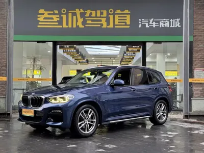 BMW X3 · 2019 год