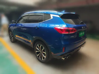 WEY VV6 2020, 31300 км, за 57613.27 CNY - фото 4