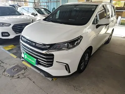 大通 G50 · 2023 год
