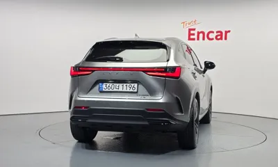 Lexus NX 2024, 31487 км, за 52800000 KRW
