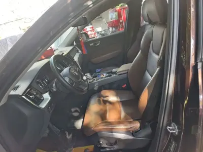 Volvo XC60 2019, 62800 км, за 95500 CNY - фото 12