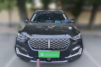WEY VV6 2020, 48300 км, за 66708.47 CNY