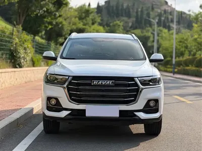 Haval H6 2022, 48000 км, за 65800 CNY