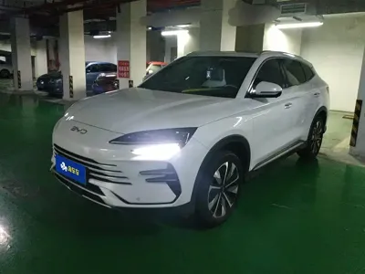 BYD PLUS New Energy · 2024 год